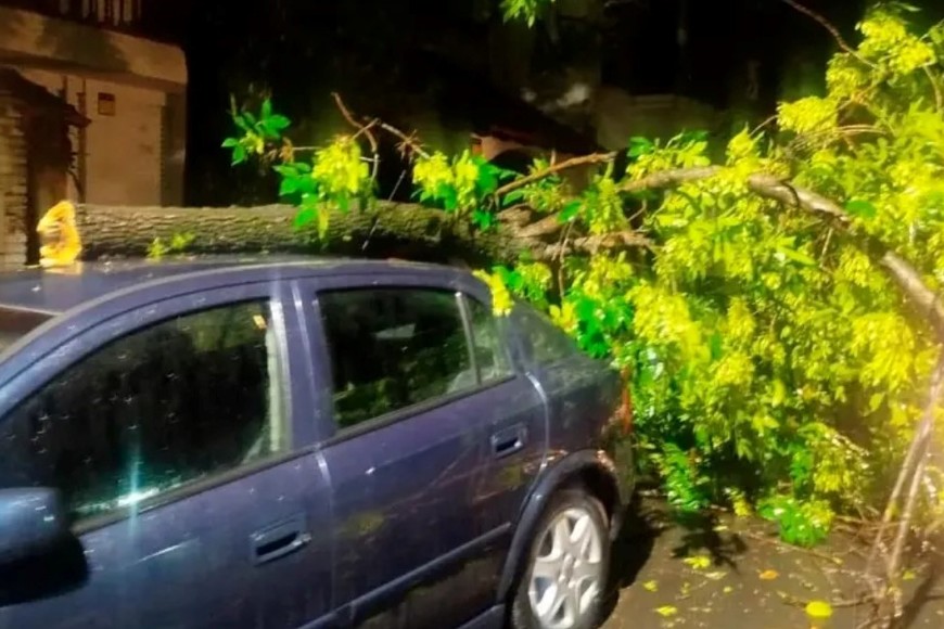 Parte de los destrozos registrados en la madrugada paranaense.