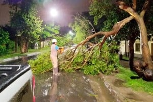 Parte de los destrozos registrados en la madrugada paranaense.