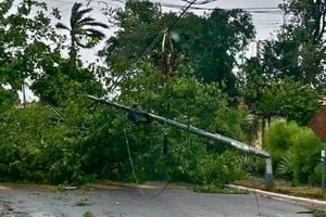 El temporal en Paraguay provocó caída de árboles y postes de luz que deja sin energía a miles de hogares en Asunción y Encarnación.