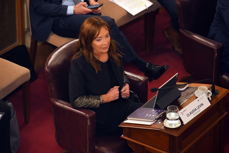 Levin destacó el nivel de consenso alcanzado en la reforma constitucional de Santa Fe.