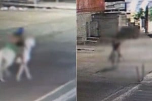 Las cámaras de seguridad registraron al asesino en el momento que trasladó a la mujer en caballo.