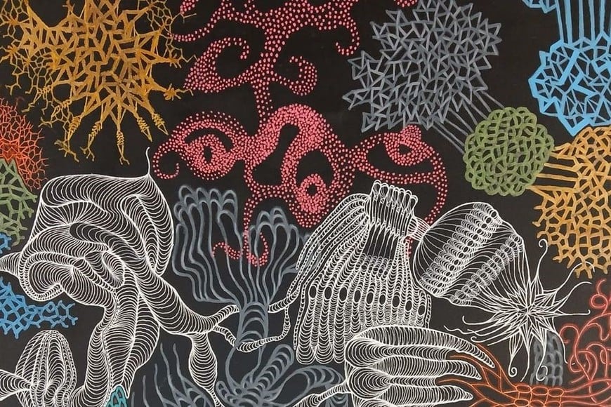 Gentileza organizadores