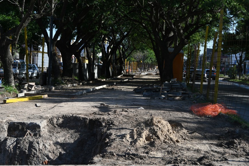 La obra prosigue con el trabajo en suelo para nuevas veredas y bicisenda. Foto: Manuel Fabatía