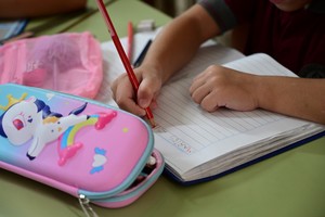 Cierre de la actividad escolar el 12 de diciembre para la mayoría de los niveles Créditos: Flavio Raina