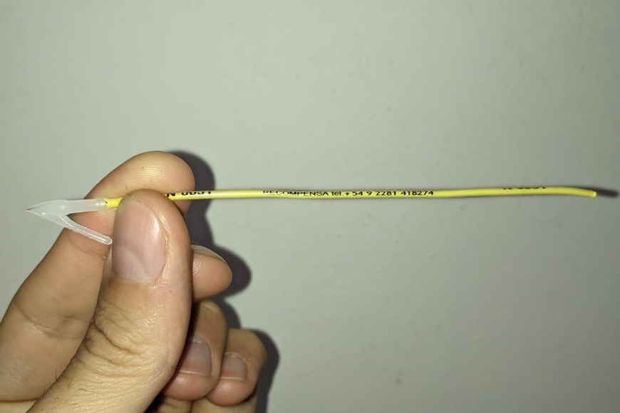 La marca de la raya. Gentileza.