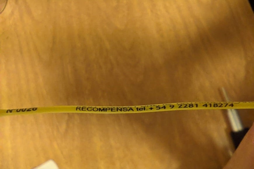 En la marca hay un teléfono de contacto para alertar a los investigadores sobre la presencia de una de las rayas investigadas. Gentileza.