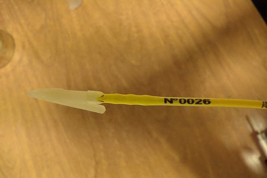 La marca. Cada una tiene una numeración identificatoria. Gentileza.