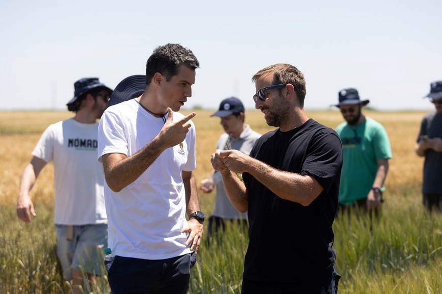 Cebada sustentable, del campo a la cerveza