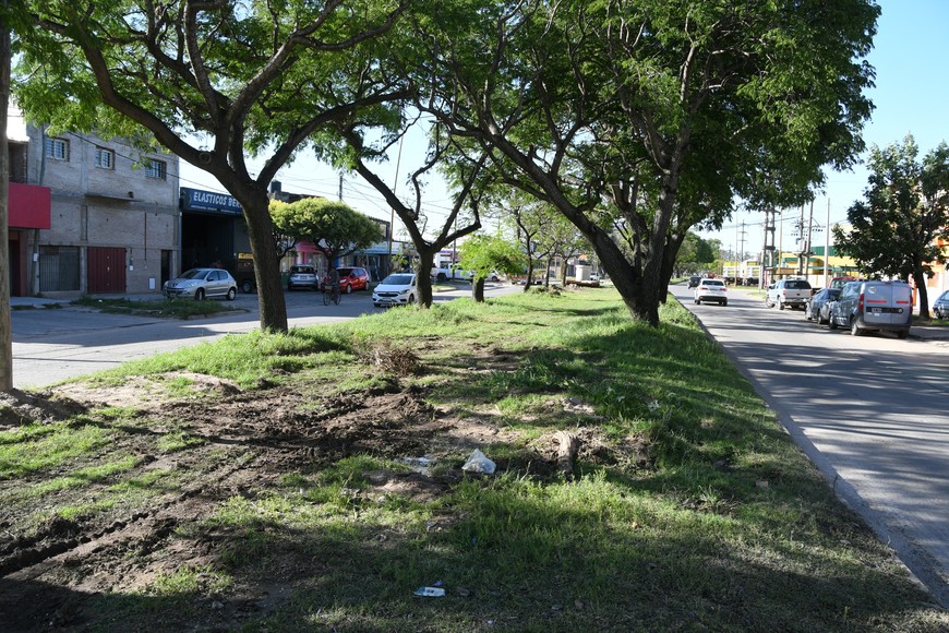 Cuadra del cantero central aún no intervenida. Foto: Manuel Fabatía