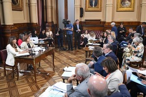 La senadora libertaria Lorena Villaverde quedó bajo dictamen de rechazo y su jura se definirá el 28 de noviembre en el recinto de la Cámara alta. Foto: HCSN.