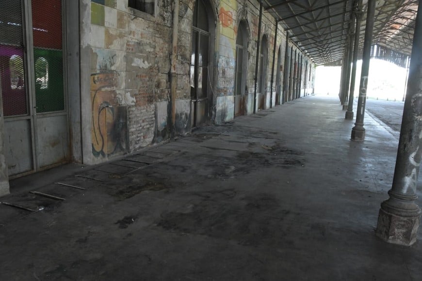 Guillermo Di Salvatore