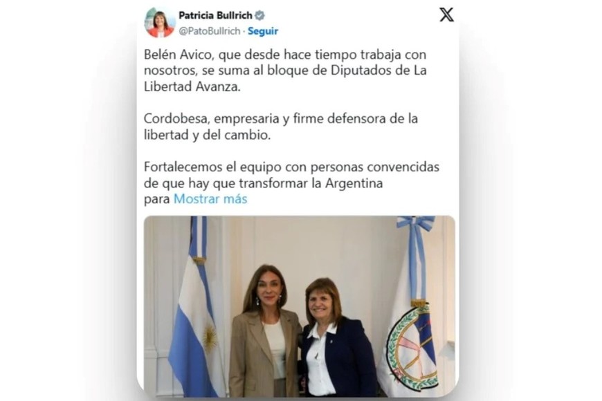 bullrich avico