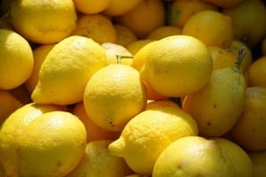 Las exportaciones de limón alcanzaron su mejor desempeño en dos décadas