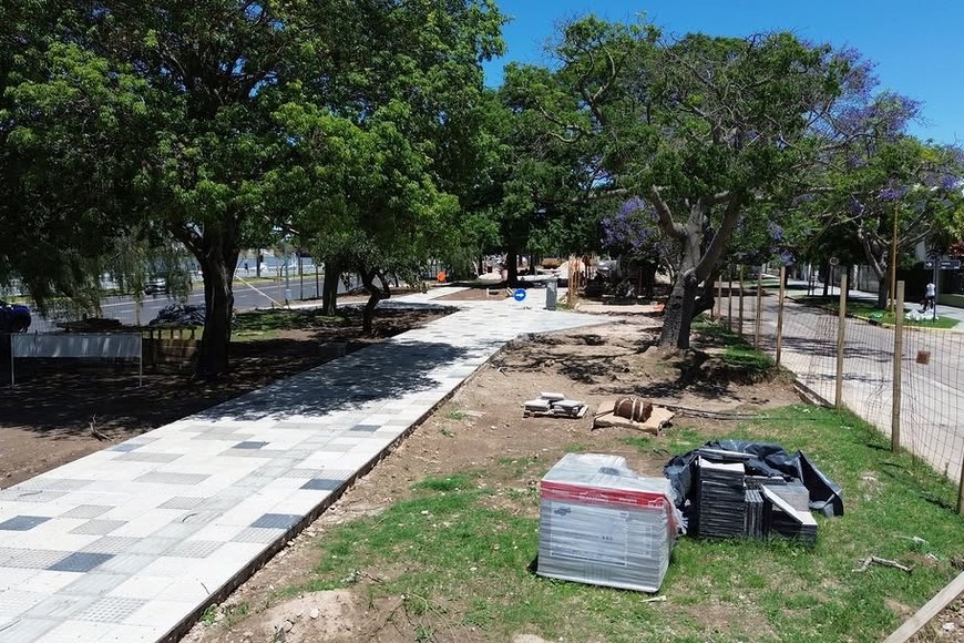 El respeto por las especies arbóreas, fundamental para asegurar sombra en el paseo.