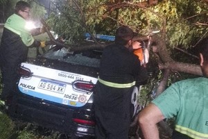 una cuadrilla municipal liberó un móvil policial atrapado por un árbol caído
