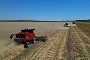 Perspectiva agrícola: avances dispares en cultivos y expectativas de producción récord de trigo