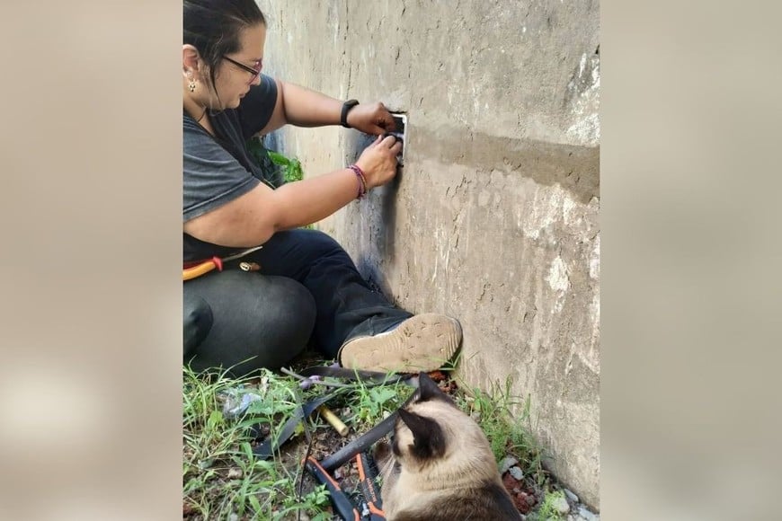 Pérez, reparando una casilla eléctrica. La acompaña un gatito. Crédito: Gentileza