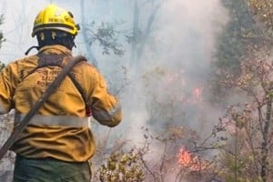 Contuvieron en un 80 por ciento el incendio que se había originado en Epuyén.