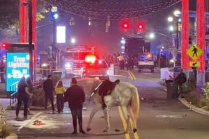 Operativo de seguridad en la zona. Crédito: Redes Sociales.