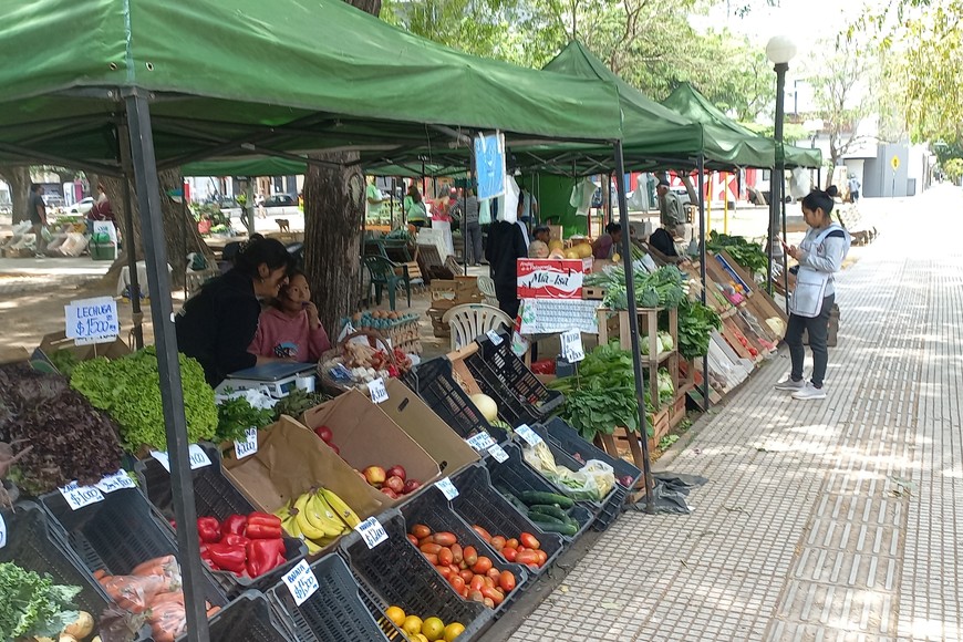 Puesteros de la La Verdecita, en pleno trabajo. Crédito: El Litoral