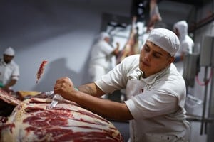 El consumo de carne vacuna en Argentina está en 49,1 kilos per cápita al año. Foto: REUTERS / Agustin Marcarian.