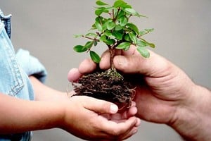 Las distintas generaciones de derechos humanos han reflejado y reflejan la relación del ser humano con el planeta, el mundo y la sociedad en la que vive. La necesidad de estar prevenidos es un nuevo vínculo explorable, en todo sentido.