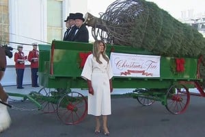 El árbol de 18 1/2 pies se exhibirá en la Sala Azul.