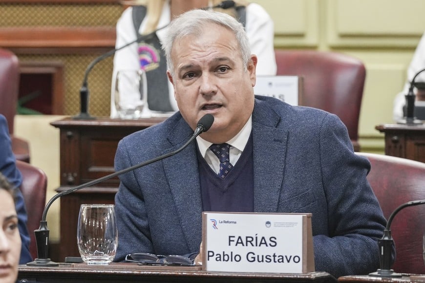 Farías participó como convencional constituyente en la reciente Reforma de la Carta Magna.