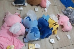 Detectaron peluches rellenos de cocaína en un tour de compras en Tucumán