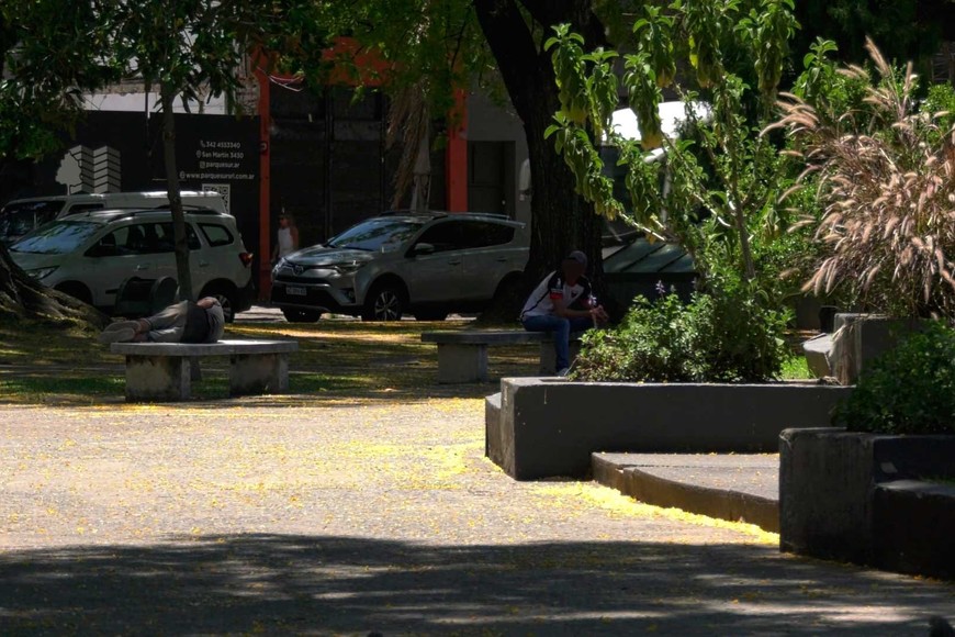 El preocupante hecho tiene un trasfondo social complejo.