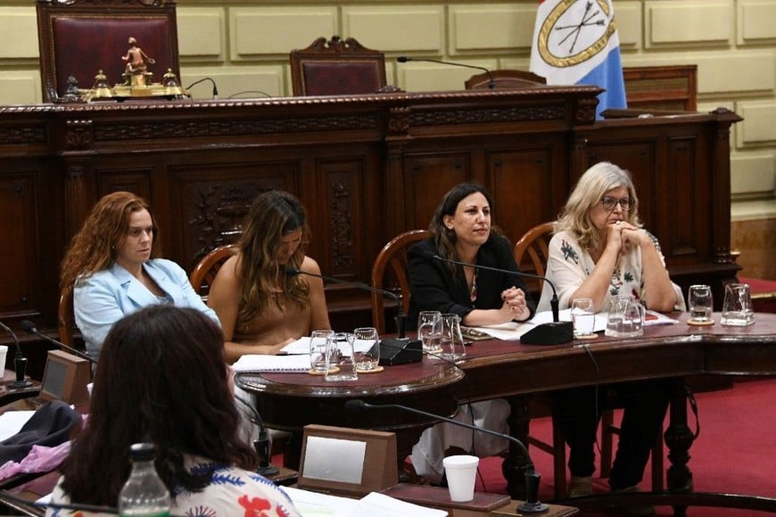 Audiencia sobre salud mental en Diputados con equipos de salud, docentes y especialistas. Foto: Manuel Fabatia