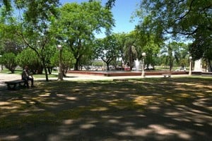 Sorpresa en la plaza por el hallazgo.