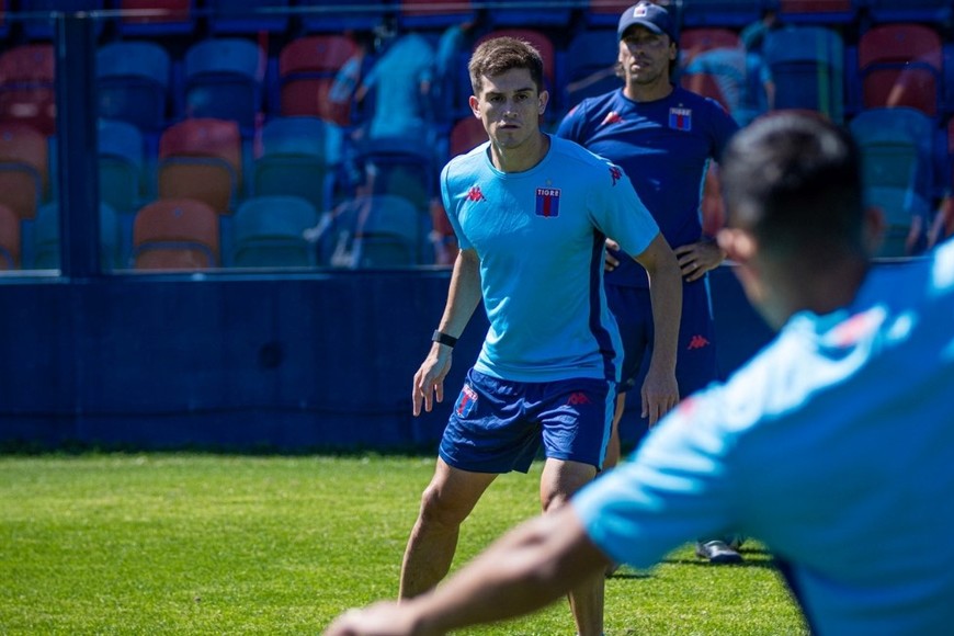 Tigre quiere dar el golpe. Crédito: Prensa Tigre