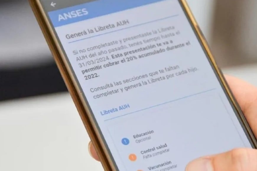 Se encuentra habilitada la presentación digital de la Libreta de la Asignación Universal por Hijo (AUH)