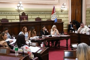 En el recinto de Diputados, concurrida audiencia pública sobre salud mental. Foto: Manuel Fabatia