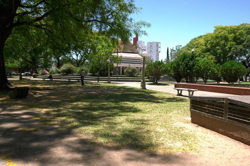 El palomar de la ciudad fue escenario de un inusual hecho.