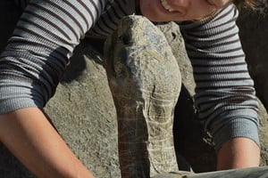 Los cuidadores la llamaban "la reina del zoo".