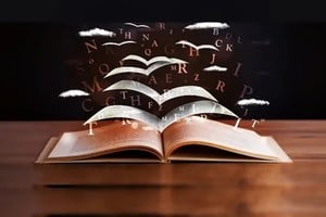 Existe un principio básico. El lenguaje no crea las montañas o las leyes de la física, sino solo la realidad de que "la montaña es propiedad de un país", o que "las leyes de la física son un campo de estudio". Lo aclara definitivamente John Searle al sostener que "la existencia de los hechos brutos… es un requisito para que haya hechos institucionales".