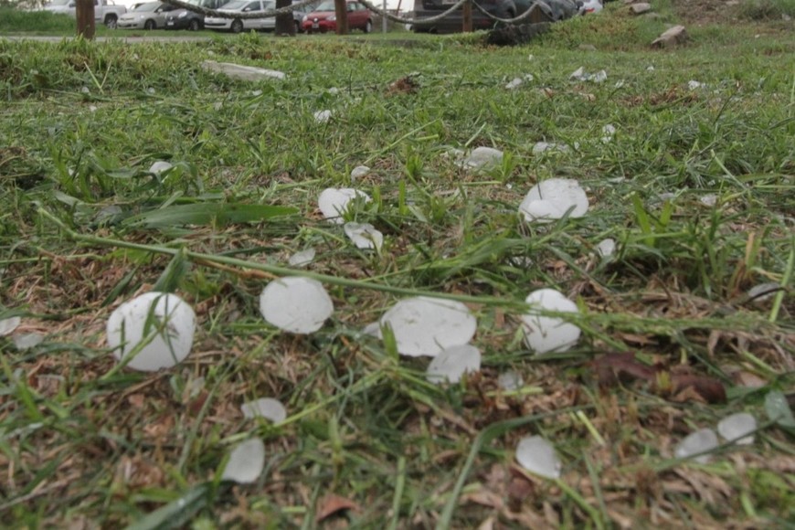 El alerta rige desde este jueves por la mañana. Crédito: Manuel Fabatía
