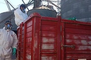 Se recuperaron 4122 envases que totalizan alrededor de 2000 kilos.