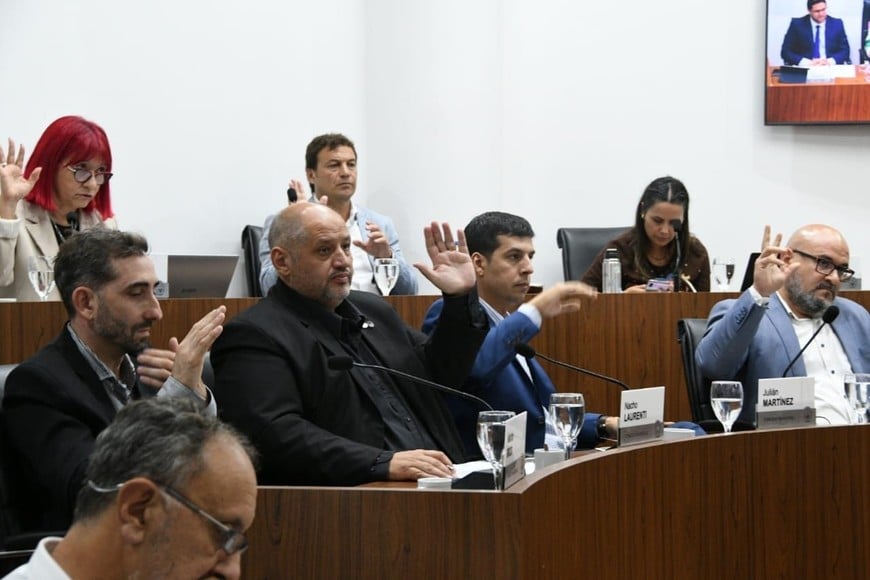 Las caras de varios ediles lo dicen todo… Crédito: Manuel Fabatía