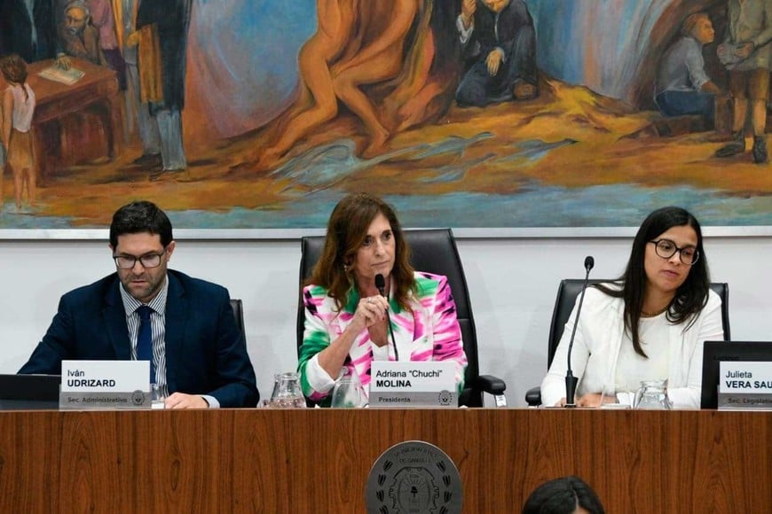 Adriana "Chuchi" Molina, presidió la sesión donde se aprobó el presupuesto. Foto: Manuel Fabatía.