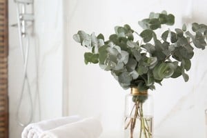 Eucalipto. Especies de hojas intensas que aportan frescura a distintos sectores de la casa.