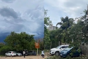 El relámpago partió un árbol gigante y aplastó varios autos en el Hospital Pediátrico.