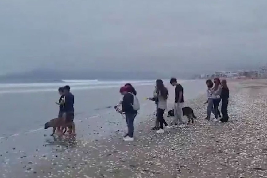 Alejandro Cabrera Iturriaga había desaparecido el 17 de noviembre.