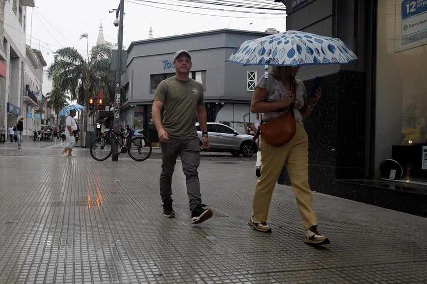 Imagen ilustrativa. Crédito: Guillermo Di Salvatore