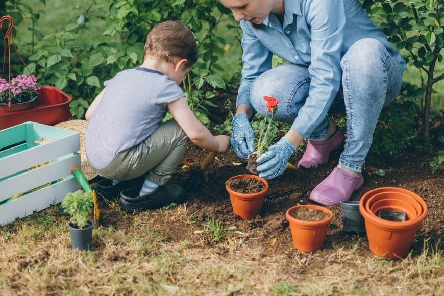 Actividades familiares al aire libre que favorecen la pausa digital y el bienestar.