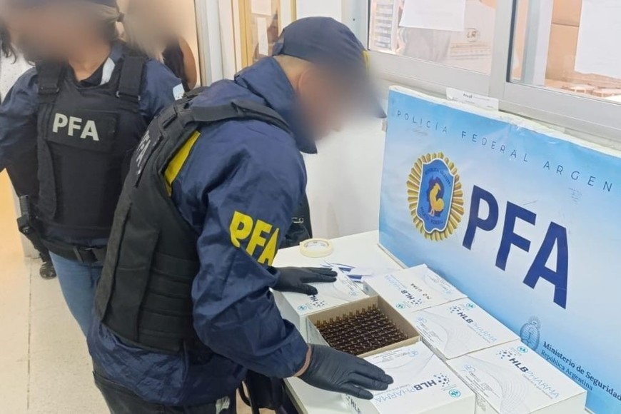 Los elementos secuestrados quedaron a disposición del magistrado interviniente. Foto: Gentileza