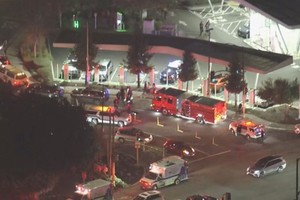 Según informó la policía los disparos iban dirigidos a un hombre adulto.