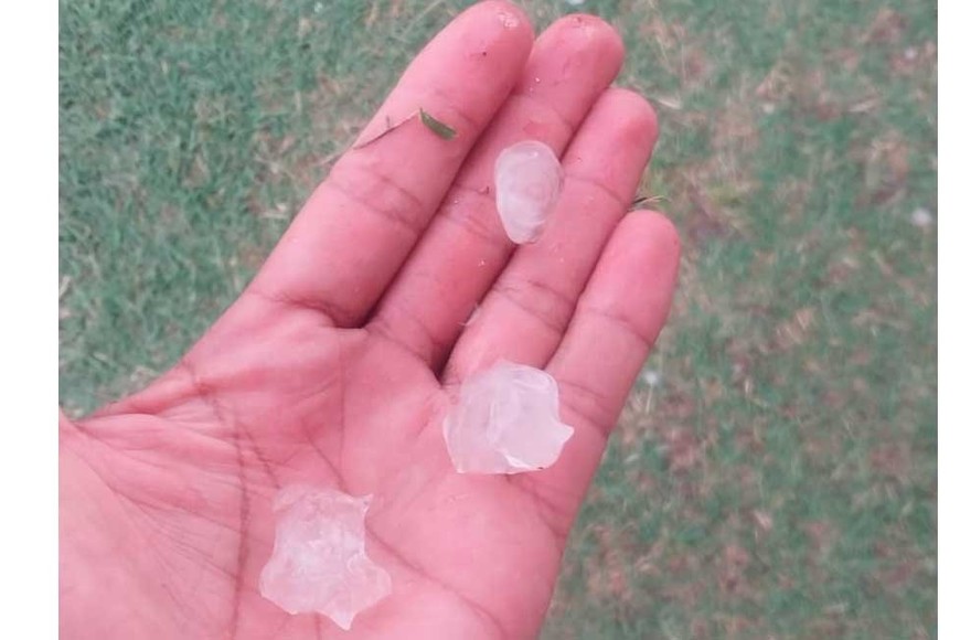 Los tamaños variaron según la localidad.